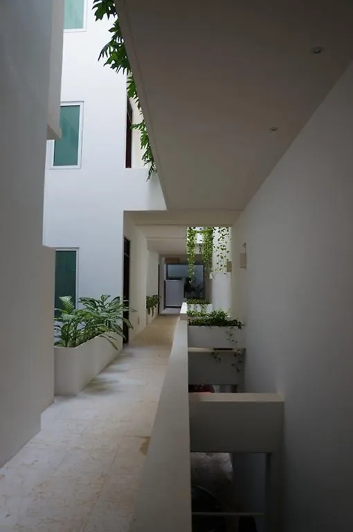 Apartment Papaya 15 By Kamuvan